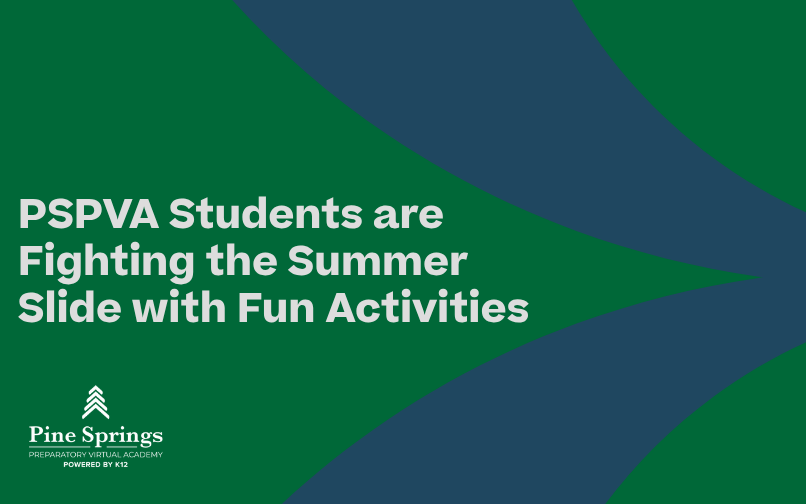 PSPVA summer solstice
